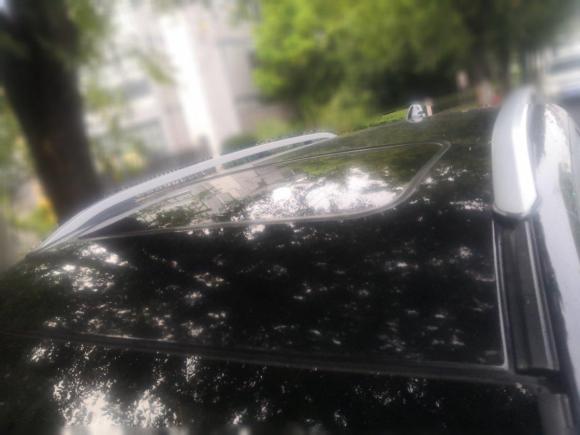 [常州·苏L] 二手野马汽车野马T702016款 升级版 1.5T 手动豪华型