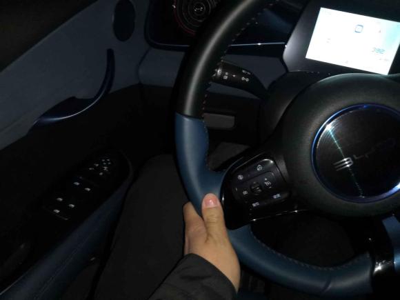 [合肥·皖A] 二手比亚迪海豚2021款 405km 时尚版