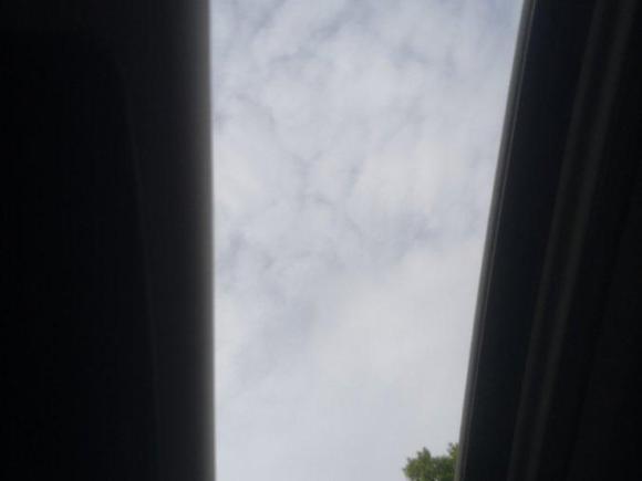 [上海·川S] 二手日产轩逸2021款 1.6L XL CVT悦享版