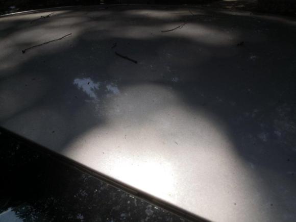 [佛山·粤X] 二手长安悦翔V72015款 1.6L 手动乐活型 国IV