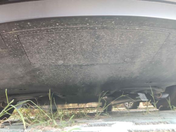 [上海·沪A] 二手特斯拉Model 32020款 改款 标准续航后驱升级版