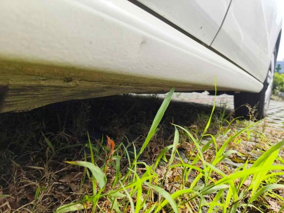 [上海·沪C] 二手大众Polo2016款 1.4L 手动风尚型