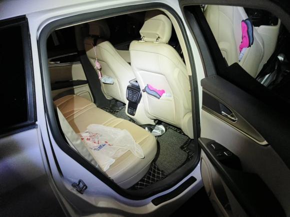 [合肥·皖A] 二手林肯林肯MKX2017款 2.0T 两驱尊享版