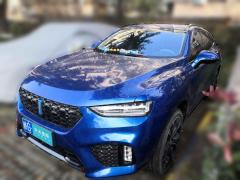 [上海·陕G] 魏牌魏牌VV72017款2.0T旗舰型