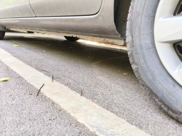 [南京·苏A] 二手日产阳光2015款 1.5XE 手动舒适版