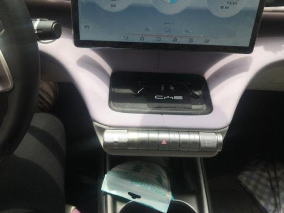 [嘉兴·浙F] 二手比亚迪海豚2021款 405km 时尚版