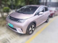 [南京·苏A] 比亚迪海豚2023款 420km 自由版