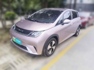 比亚迪海豚2023款 420km 自由版「南京二手车」「天天拍车」