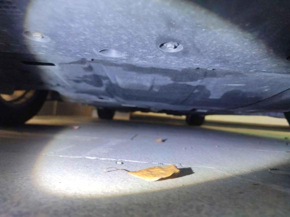 [深圳·粤L] 二手福特蒙迪欧2020款 EcoBoost 180 时尚型