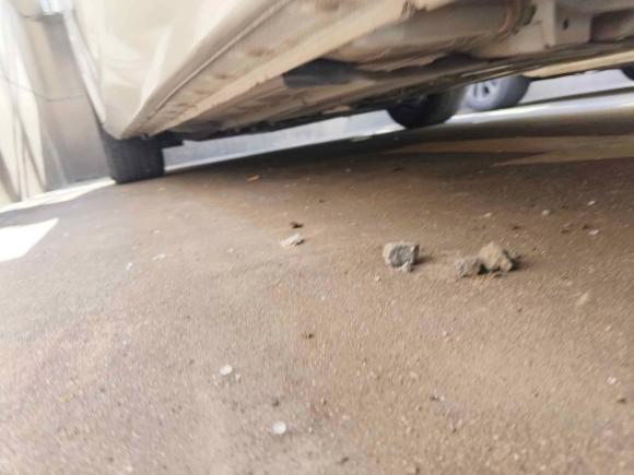 [宁波·浙J] 二手日产天籁2021款 2.0L XL 舒适版