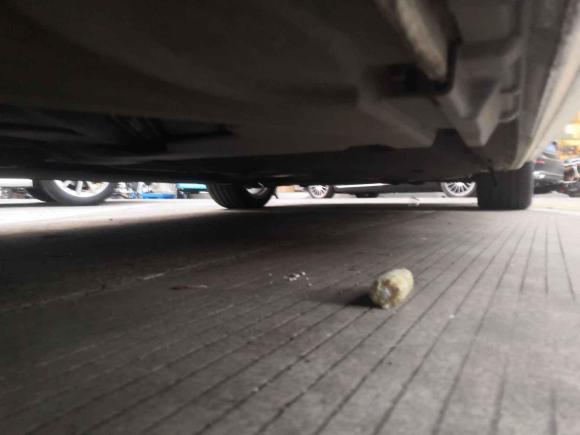 [义乌·浙G] 二手奥迪奥迪A4L2019款 40 TFSI 时尚型 国VI