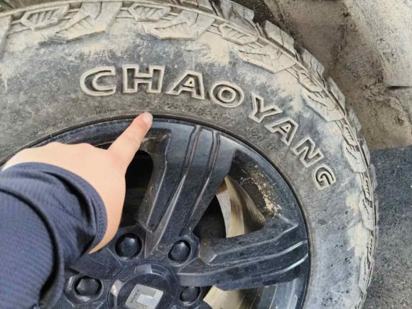 [宁波·浙B] 二手坦克坦克3002021款 越野版 2.0T 征服者