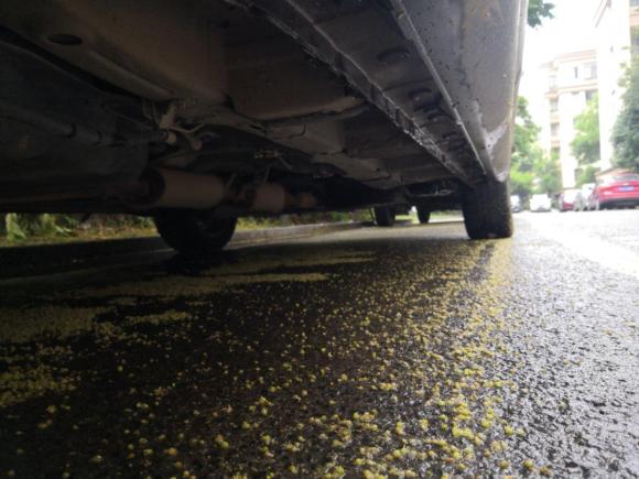 [湖州·浙E] 二手北汽威旺北汽威旺M50F2017款 1.5L 标准型