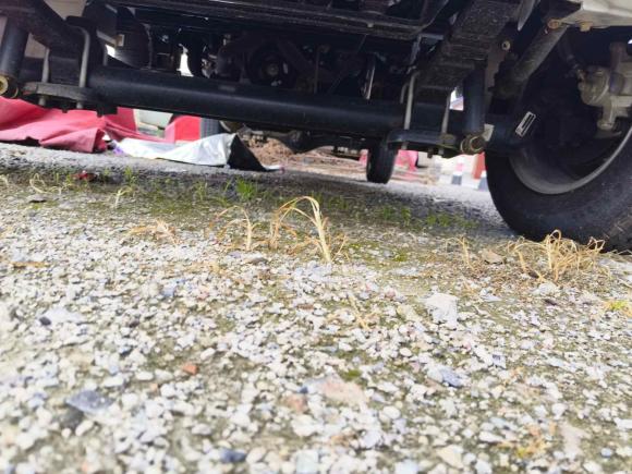 [杭州·浙A] 二手福田祥菱V2018款 1.5L 半承载3170轴距(平板)DAM15R