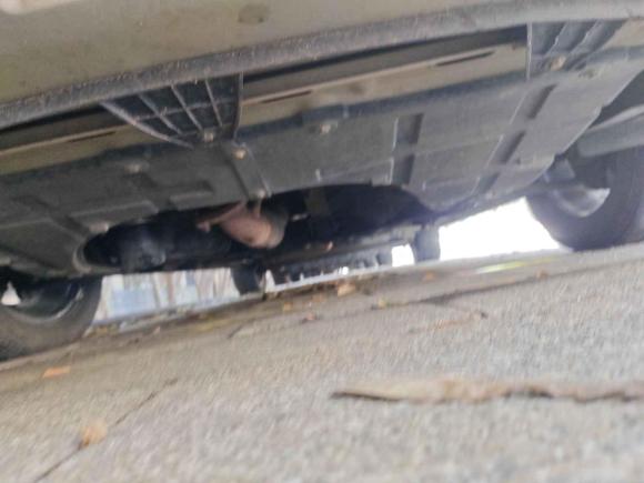 [武汉·渝A] 二手长安欧尚长安欧尚A8002017款 1.5T 手动豪享型