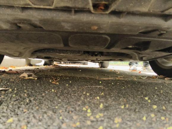 [温州·浙C] 二手大众迈腾2009款 1.8TSI DSG舒适型