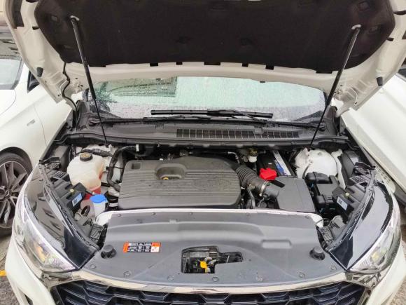 [深圳·粤B] 二手福特锐界2021款 PLUS EcoBoost 245 四驱ST-Line 7座