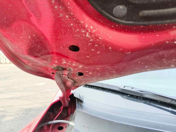 [温州·浙C] 二手马自达阿特兹2018款 2.5L 蓝天运动版 国VI