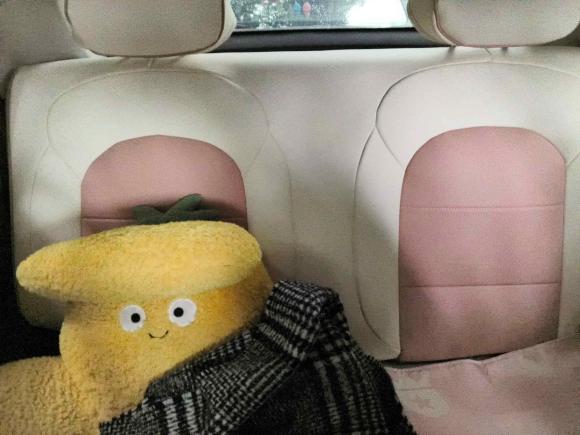 [合肥·皖A] 二手零跑汽车零跑T032022款 皓玉版