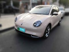 [上海·沪A] 欧拉欧拉好猫2023款401km标准续航尊荣型磷酸铁锂