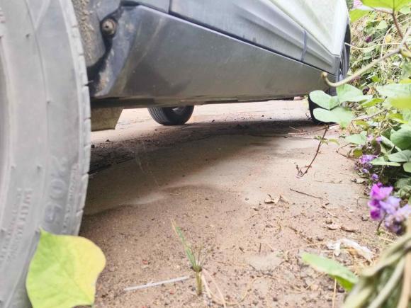 [青岛·鲁U] 二手长安欧尚长安欧尚X70A2018款 1.5L 手动精英型