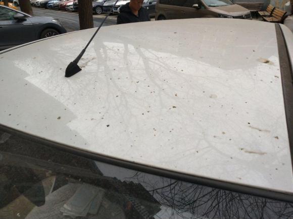 [北京·京A] 二手长安奔奔EV2017款 纯电动 180公里标准型