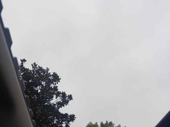 [湖州·浙E] 二手坦克坦克3002021款 城市版 2.0T 很有型