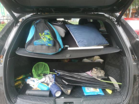 [台州·浙B] 二手比亚迪宋PLUS新能源2021款 DM-i 51KM 尊荣型