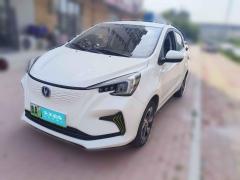 [济南·鲁A]长安&nbsp;&nbsp;长安奔奔E-Star&nbsp;&nbsp;2022款 清心版 多彩款 磷酸铁锂