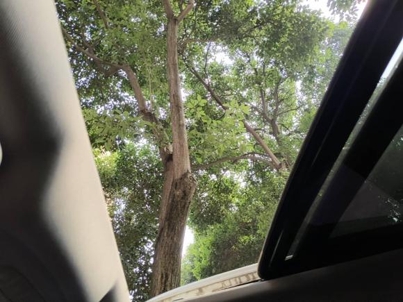 [西安·陕A] 二手日产奇骏2014款 2.5L CVT豪华版 4WD