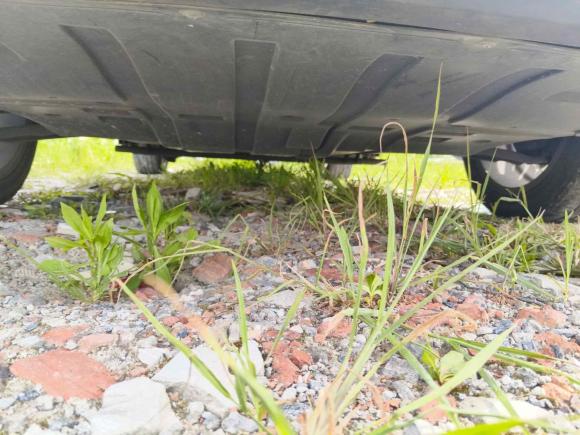 [杭州·浙A] 二手东风风行风行S50EV2021款 网约版