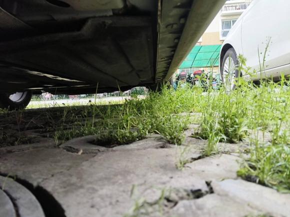 [上海·沪C] 二手福特福克斯Active2020款 EcoBoost 180 自动劲耀型