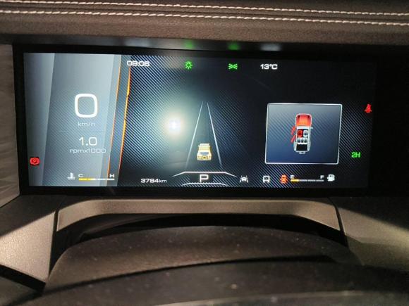 [上海·沪E] 二手坦克坦克3002022款 2.0T 边境限定版