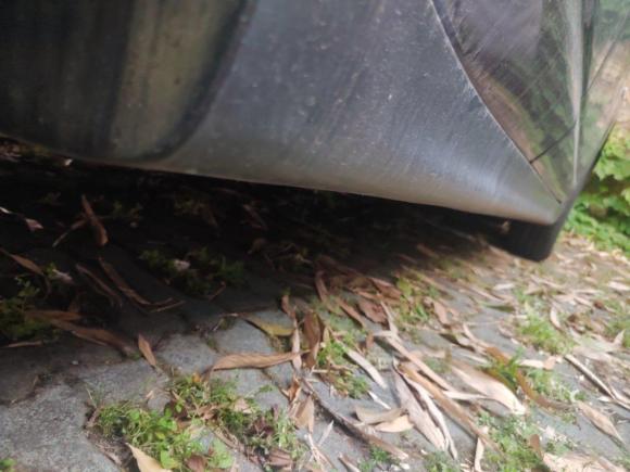 [苏州·苏E] 二手日产颐达2008款 1.6L 自动时尚型