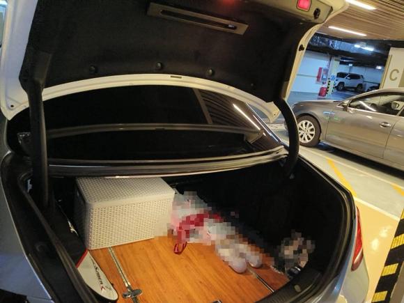 [宁波·浙B] 二手奔驰奔驰E级2016款 E 300 L 运动豪华型