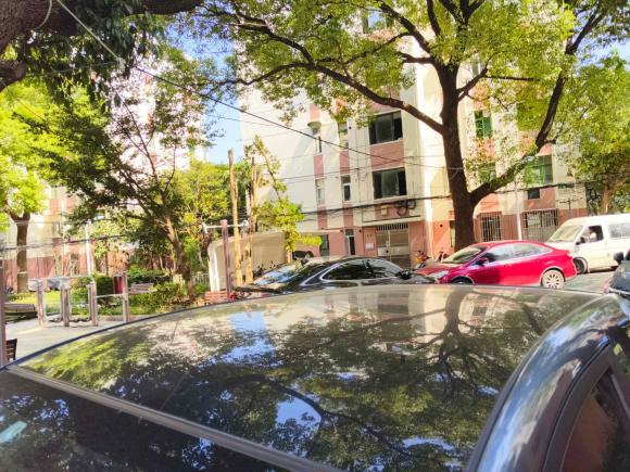 [上海·沪A] 二手奇瑞新能源小蚂蚁2019款 4座智享版 35kWh