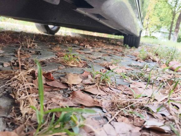 [上海·沪F] 二手本田雅阁2022款 锐·混动 2.0L 幻夜·锐智版