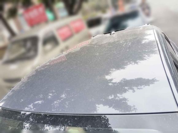 [成都·川A] 二手比亚迪比亚迪e22021款 舒适型