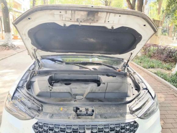 [武汉·鄂M] 二手魏牌魏牌 VV62020款 2.0T 两驱智护+