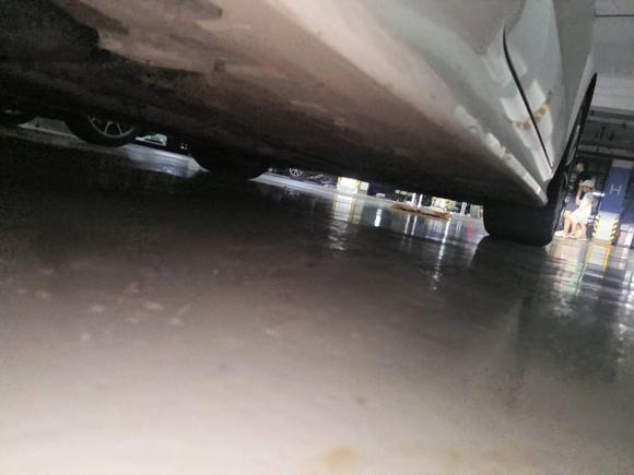 [杭州·浙A] 二手奥迪奥迪TT2013款 TT Coupe 45 TFSI