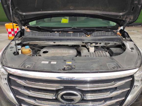 [武汉·鄂A] 二手广汽传祺传祺M82018款 320T 旗舰版