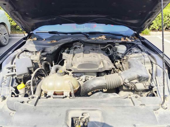 [无锡·苏B] 二手福特Mustang2017款 2.3T 性能版