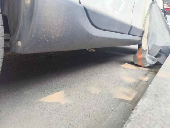 [杭州·浙A] 二手标致标致20082014款 1.6L 自动潮流版