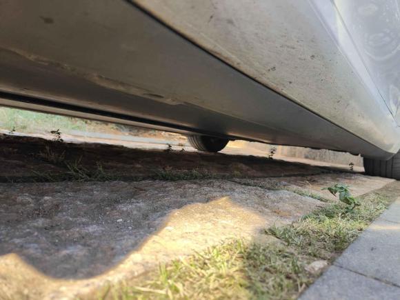 [南昌·赣A] 二手特斯拉Model 32021款 标准续航后驱升级版