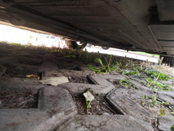 [青岛·鲁B] 二手日产颐达2008款 1.6L 自动智能型