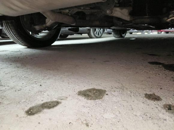 [温州·浙C] 二手沃尔沃沃尔沃XC902019款 T6 智雅版 7座 国VI