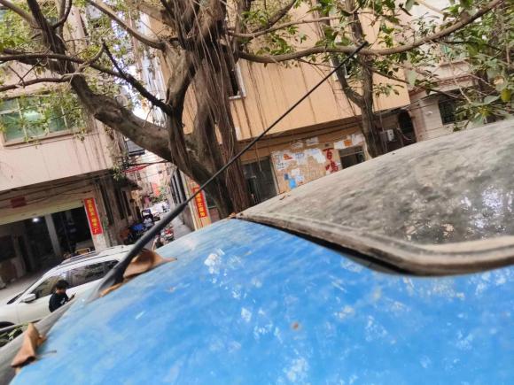 [广州·鄂D] 二手福特嘉年华2013款 两厢 1.5L 自动品尚型