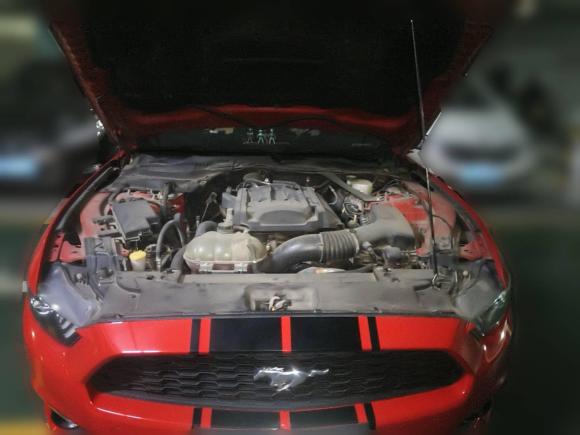 [合肥·浙B] 二手福特Mustang2017款 2.3T 性能版