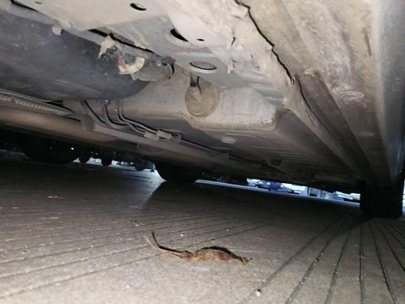 [宁波·浙B] 二手雪佛兰科鲁兹2015款 1.5L 手动精英版