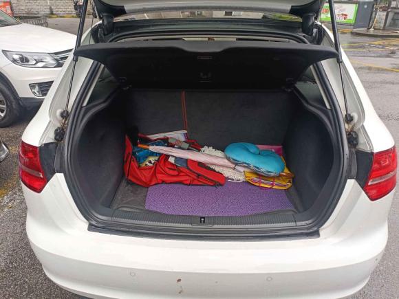 [上海·沪L] 二手奥迪奥迪A32010款 Sportback 1.4T 舒适型